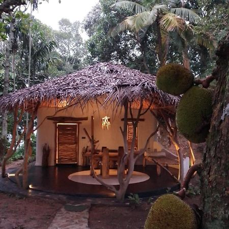 Ella Retreat Hotel Villa For Nature Lovers 외부 사진