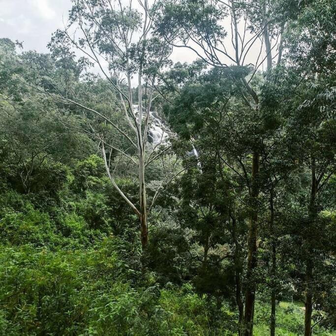 Ella Retreat Hotel Villa For Nature Lovers 외부 사진